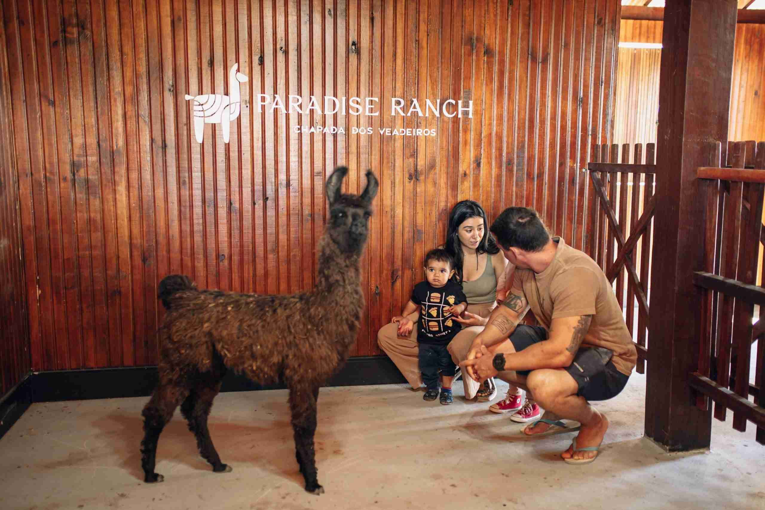 Família agachada diante de uma lhama marrom no celeiro de madeira do Paradise Ranch