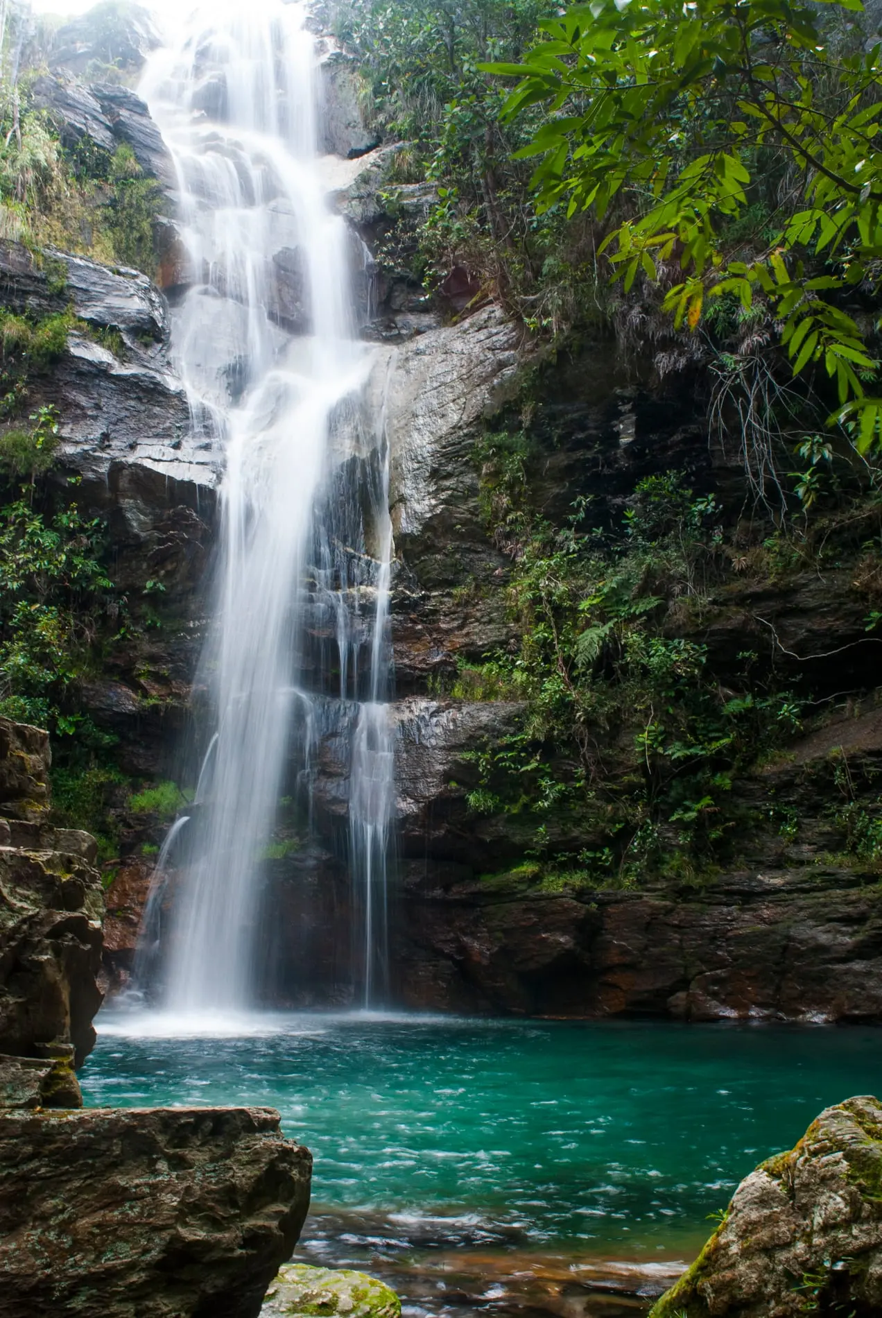 Cachoeira Santa Bárbara: queda única descendo um paredão coberto de mata fechada até um poço raso