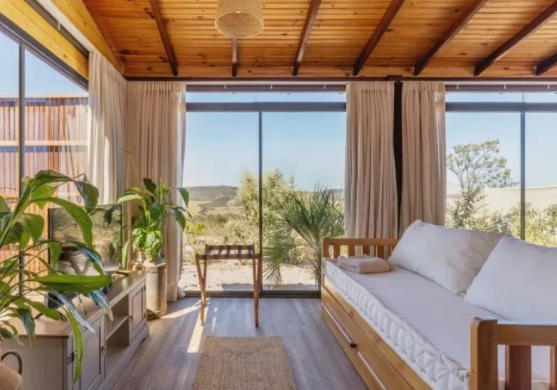 Sala com sofá bicama e plantas, diante de janelas de vidro do chão ao teto abertas para o Cerrado