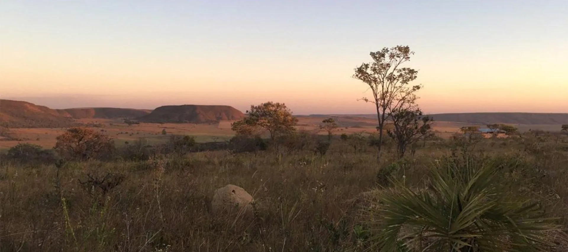 Cerrado panorama at dusk with mesas in the distance and native vegetation lit by the golden hour